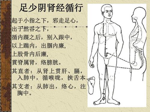 揉按太溪穴养肾有一个既有效又简捷的方法