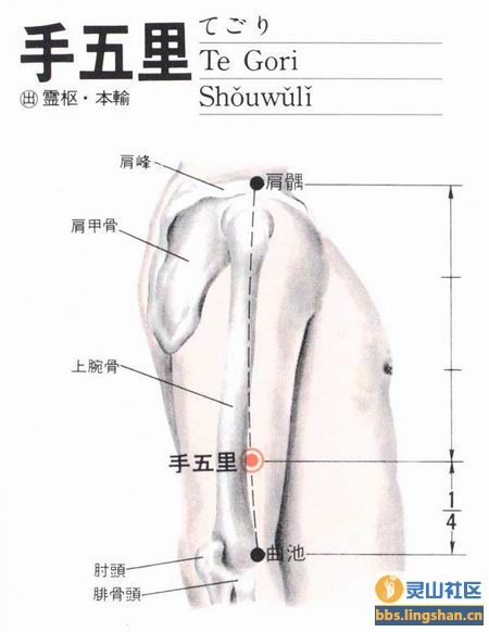 手五里穴