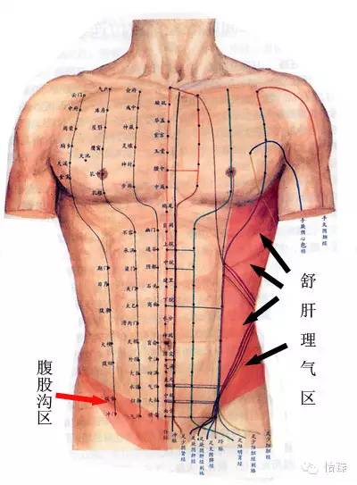 推腹法:舒肝理气、开胃健脾、补肾养心