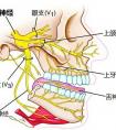 三叉神经痛治疗方法的介绍