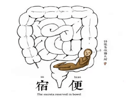 深蹲时清除宿便促排毒只需要一个动作