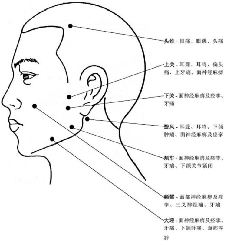 人体穴位作用图解大全