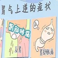 如何调养胃气上逆，缓解胃不适？