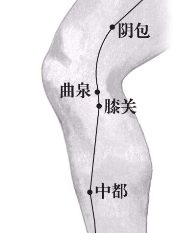 膝关穴——膝关节疼痛就揉膝关穴