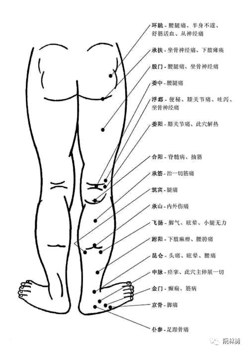 人体头部、背部穴位功效图解大全